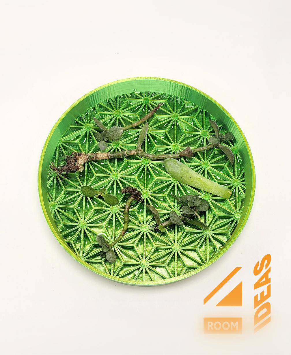 Succulent Propagation Tray - Asanoha 3d model