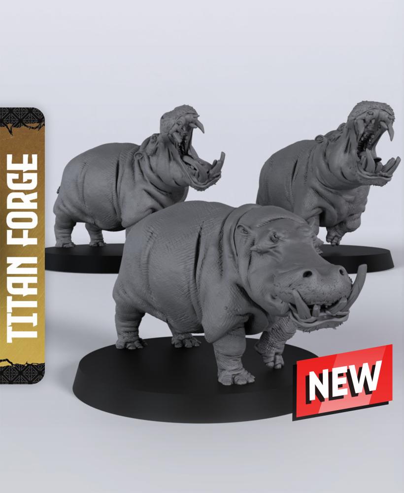 Hippopotamus - With Free Dragon Warhammer - 5e DnD Inspired for RPG and Wargamers 3d model