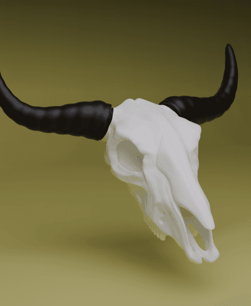 Bull Skull (MysticMesh3D) 3d model