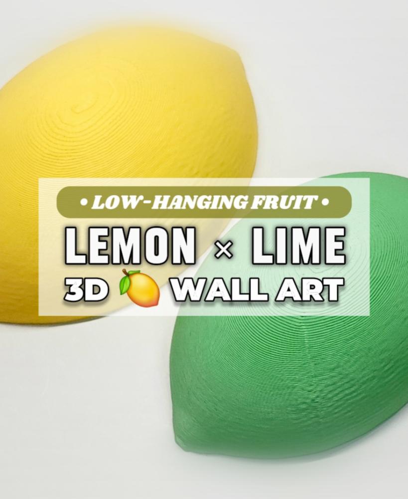 Lemon + Lime :: Decorative 3D Wall Art Set :: The 'Low-Hanging Fruit' Collection ] 3d model