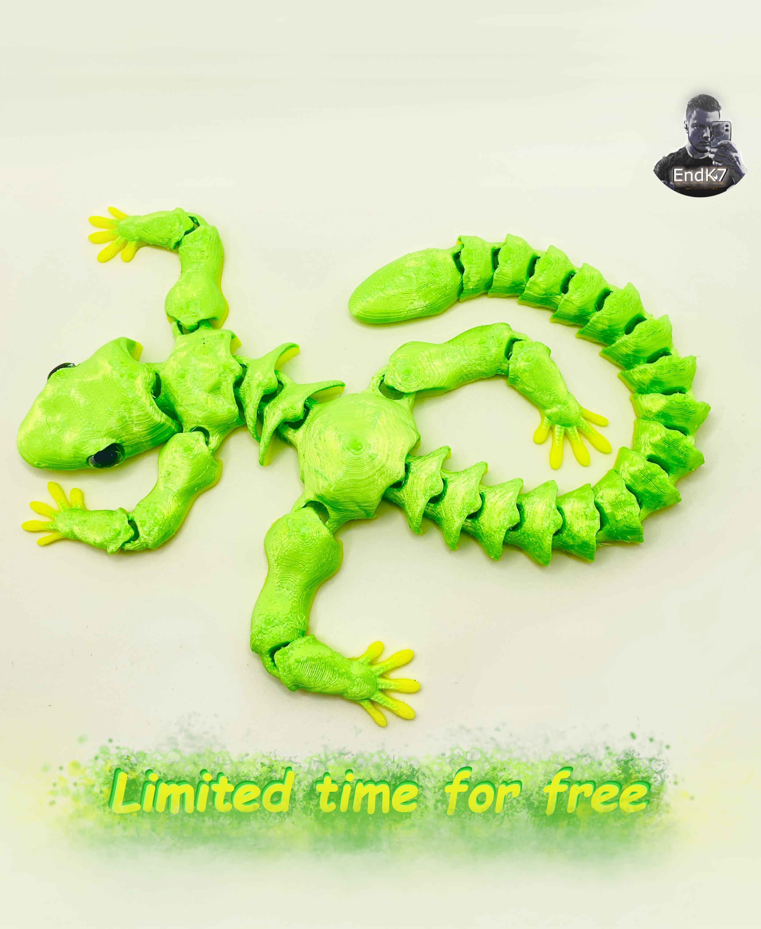 Funny Lizard Gecko - Articulated - Print in Place - No Supports - Flexi 3d model