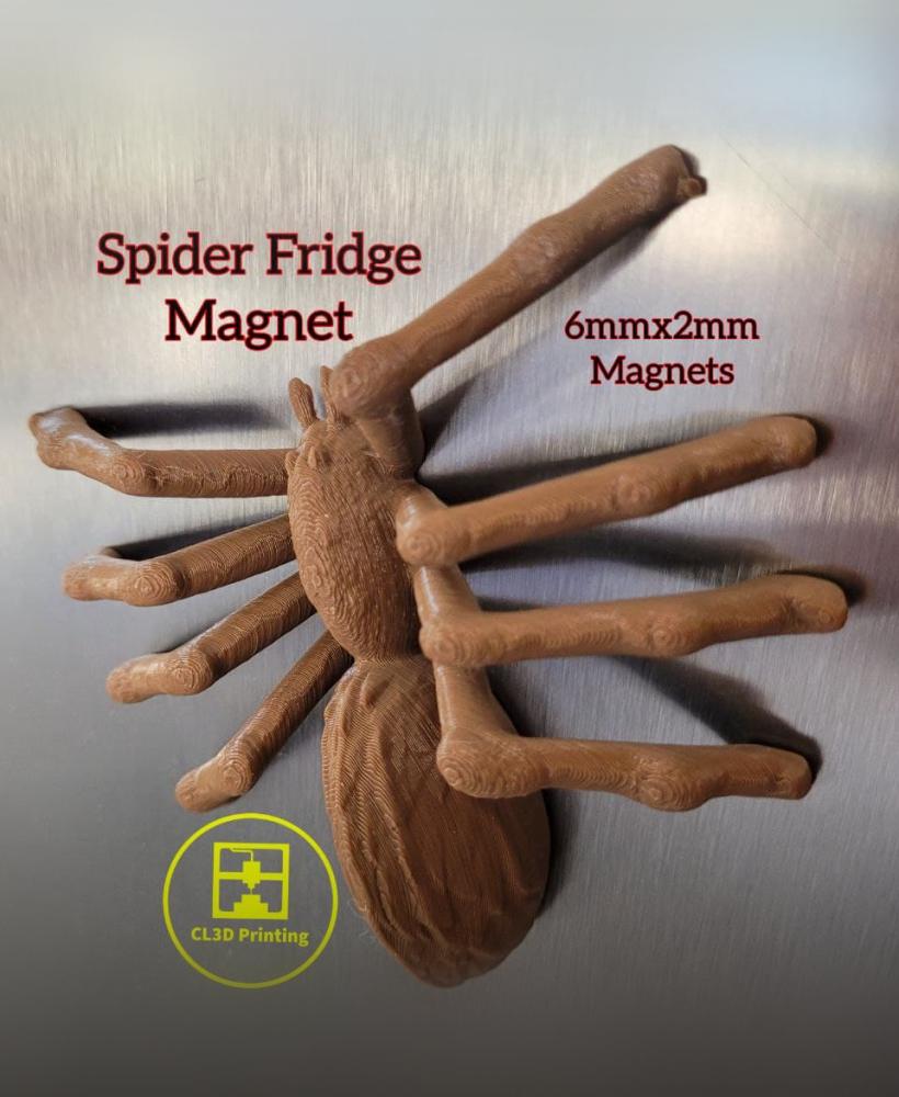 Spider Fridge Magnet 3d model