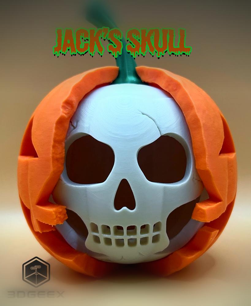 Jack's Skull 3d model