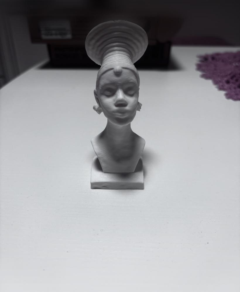 African woman bust 3d model