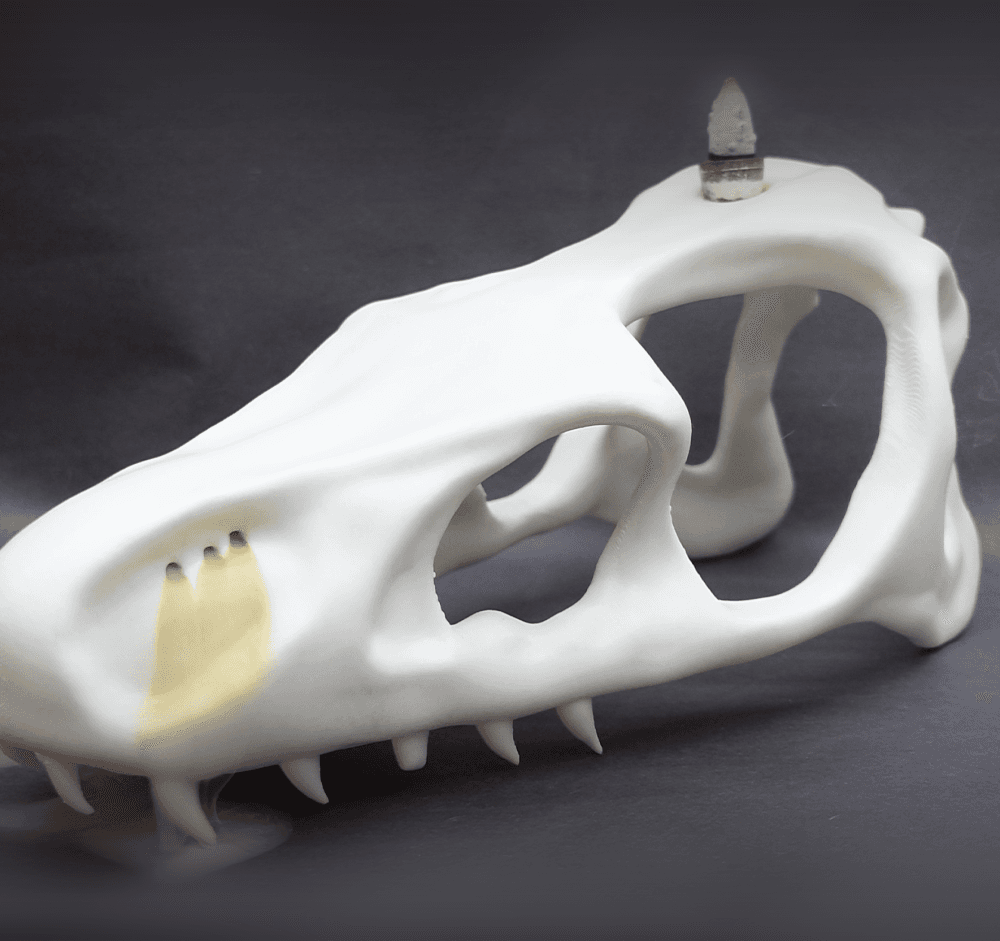 Dragon Skull Incense Burner 3d model