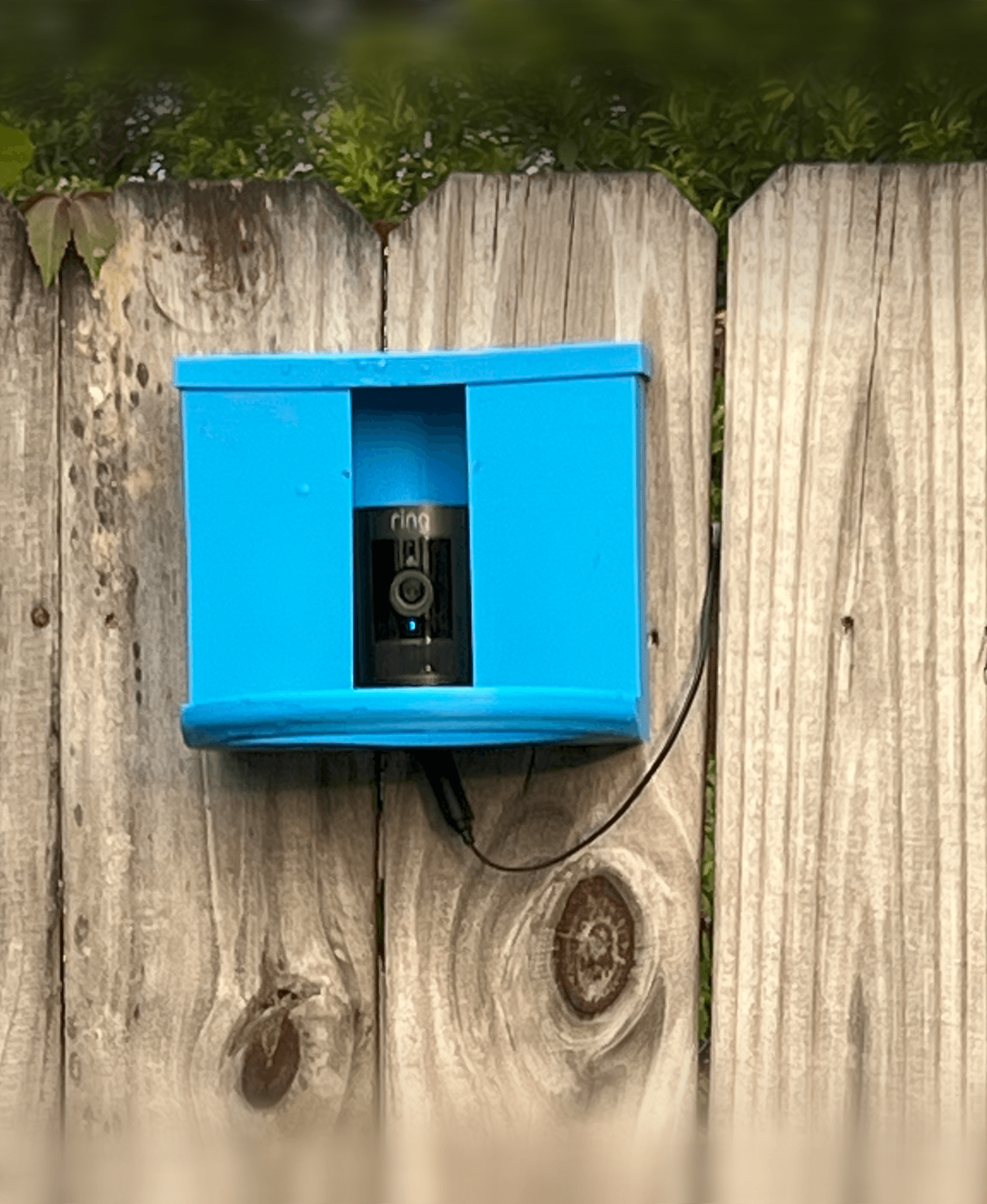 Ring Camera Bird Feeder 3d model