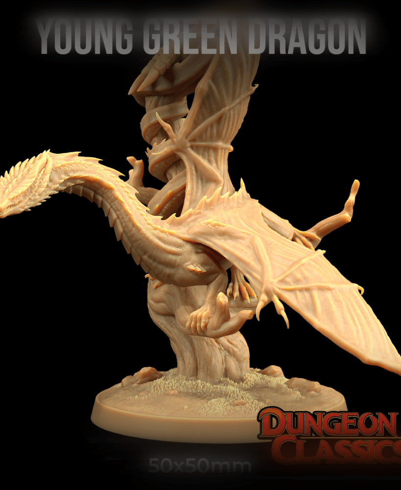 Young Green Dragon 3d model