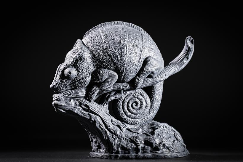 Panther Chameleon - Printing Tips