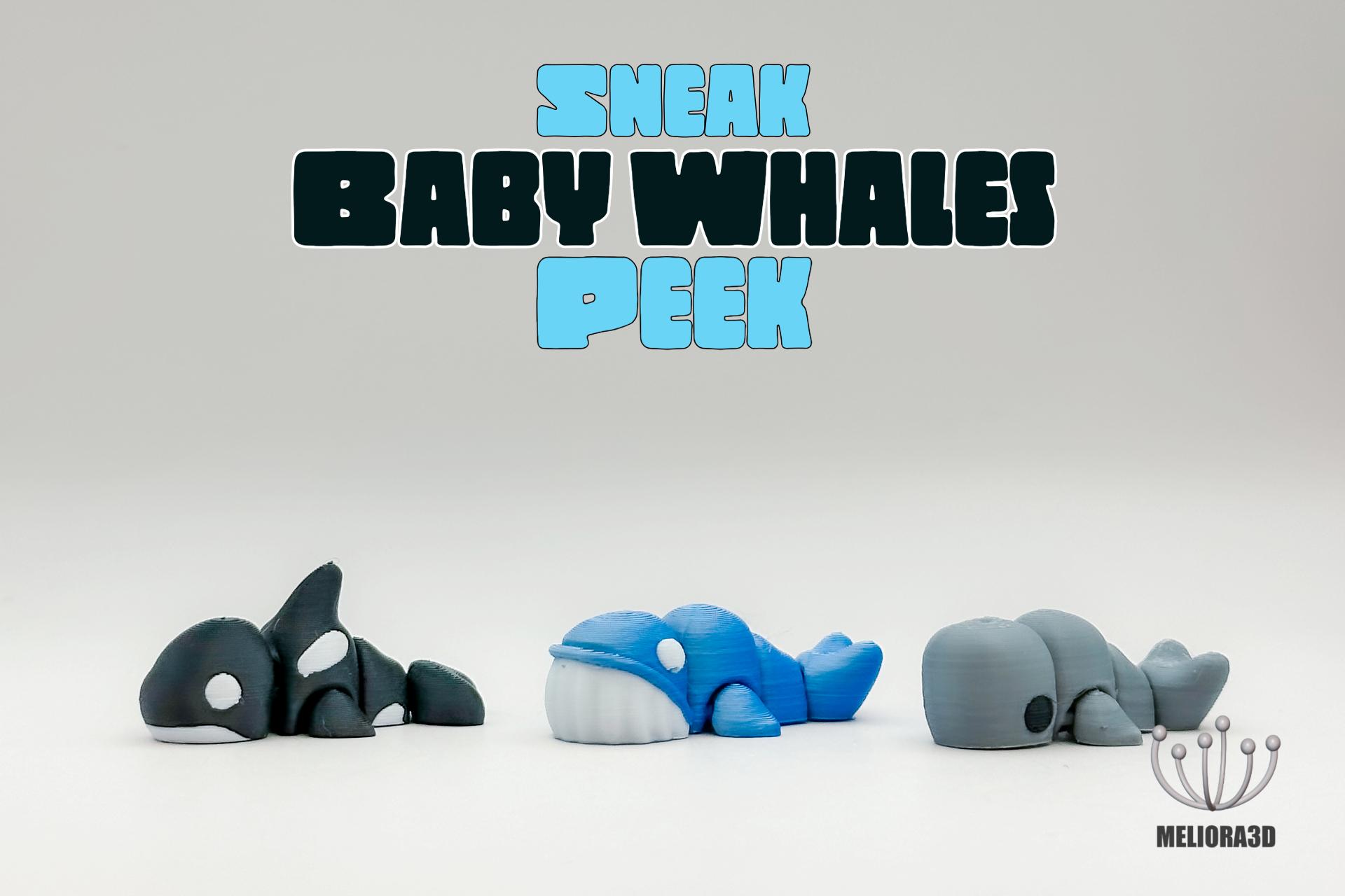 Sneak Peek - Baby Whales