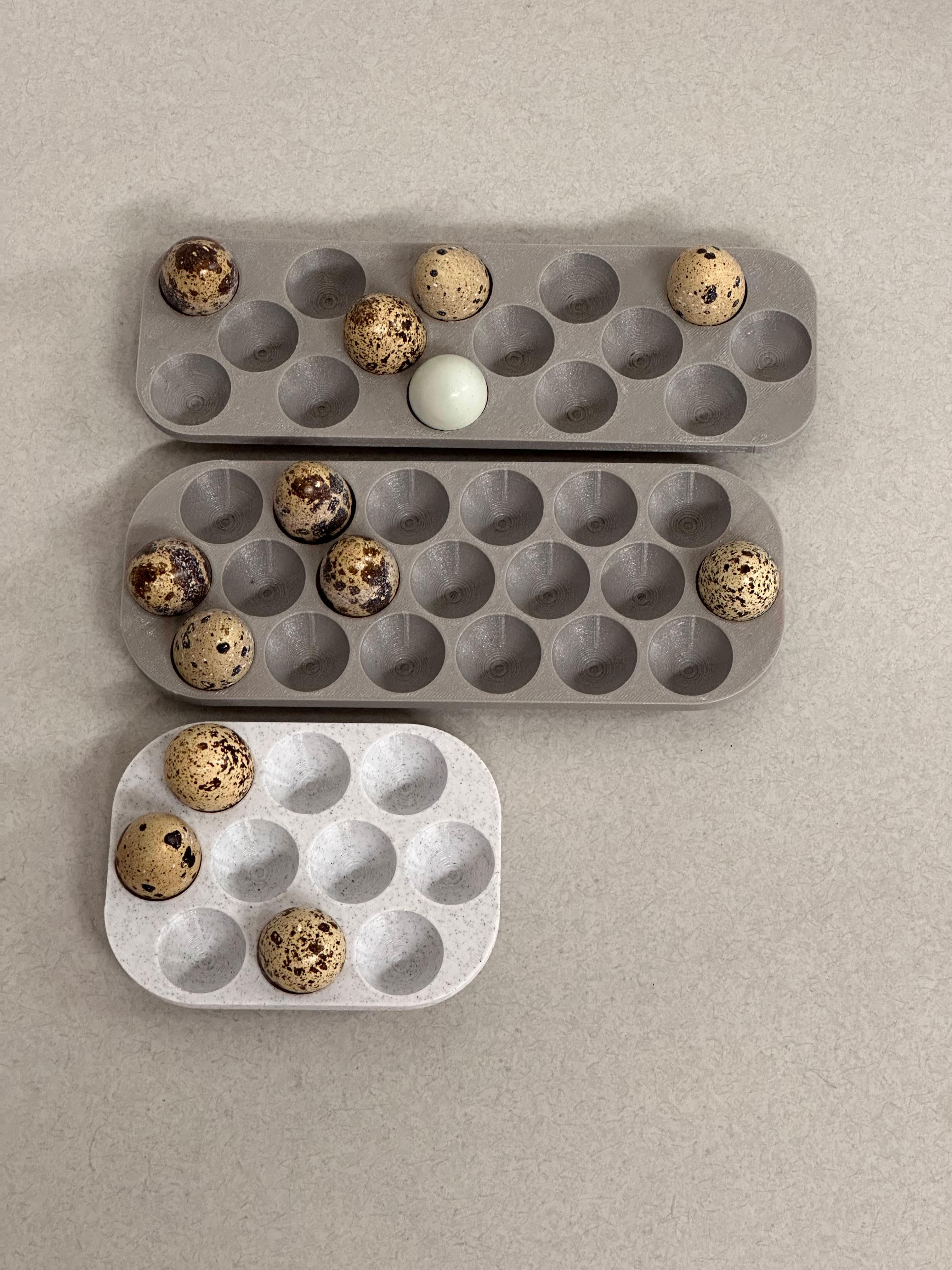 New Egg Tray Models Just Dropped