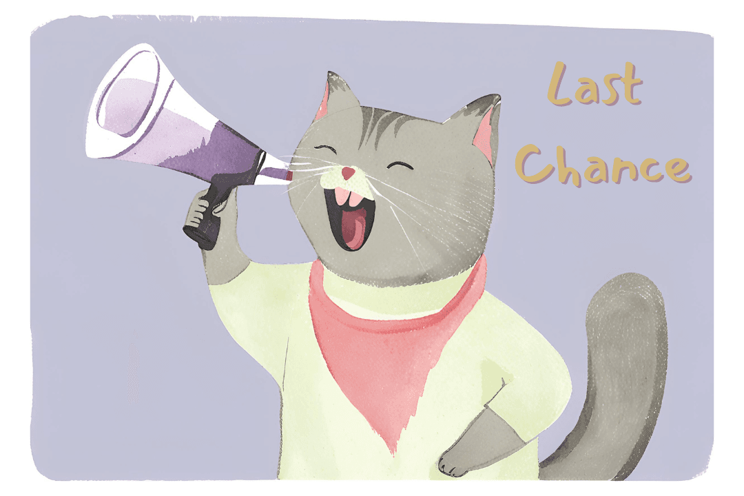 LAST CHANCE: Pusheen Planter, Cat Phone Holder, and Dragon Yarn Bowl