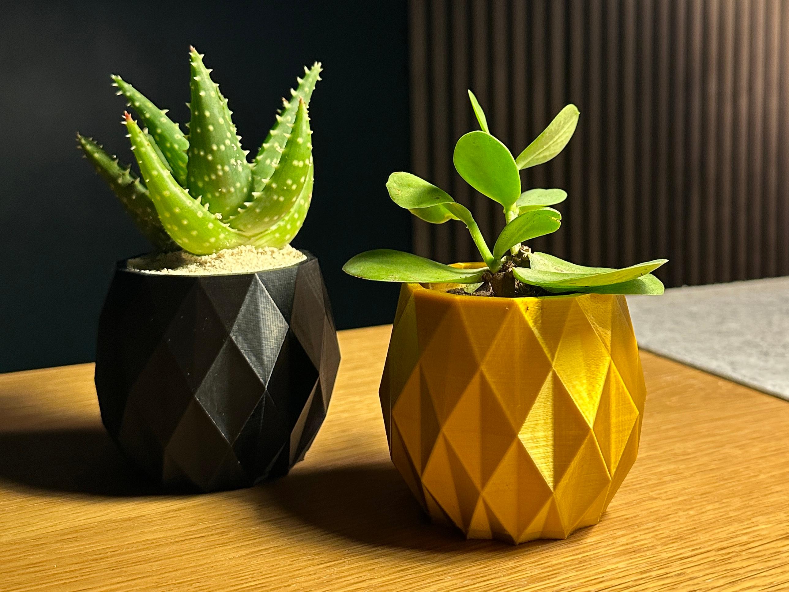 🍍The Pineapple Planter🍍