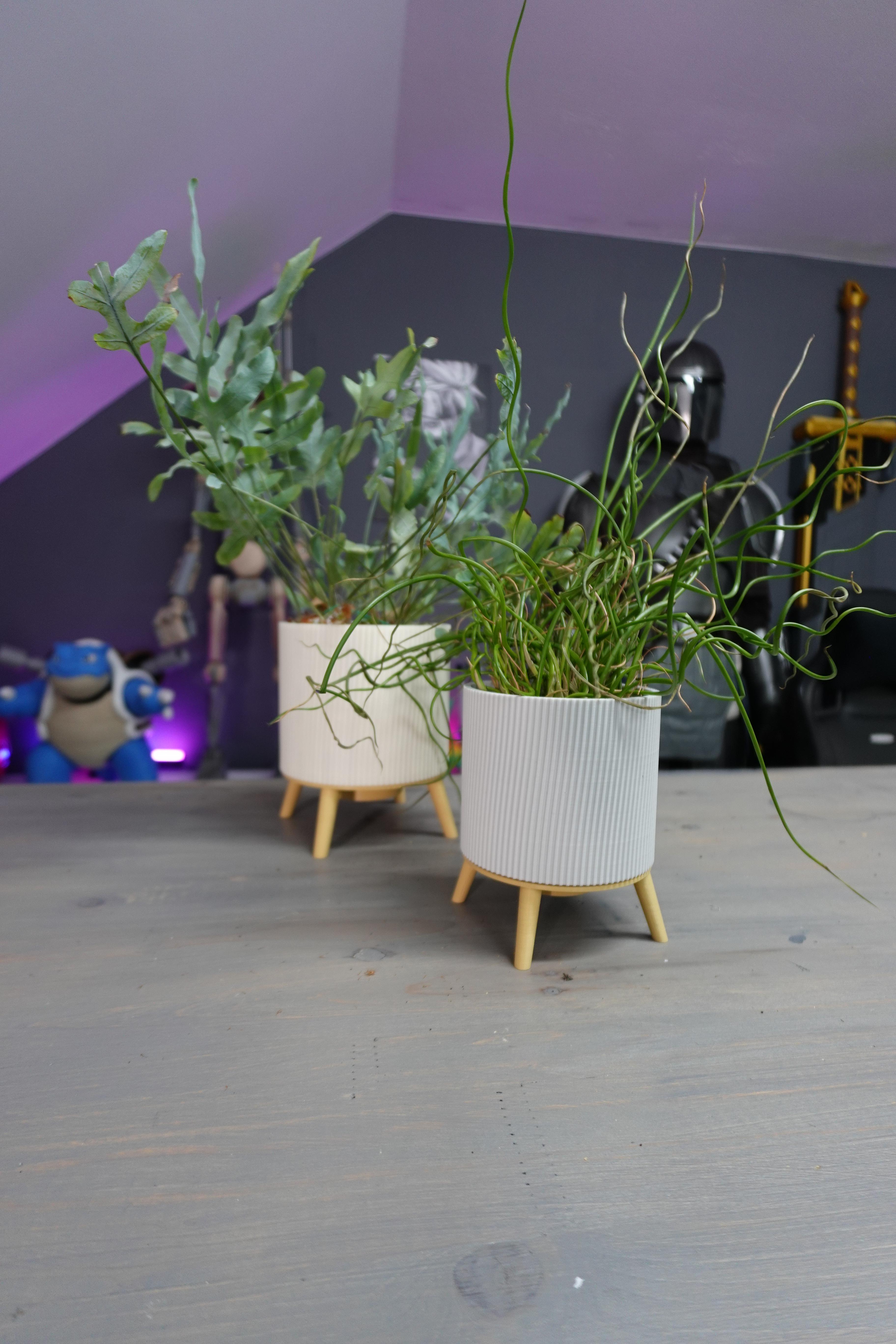 New Drop: Planter