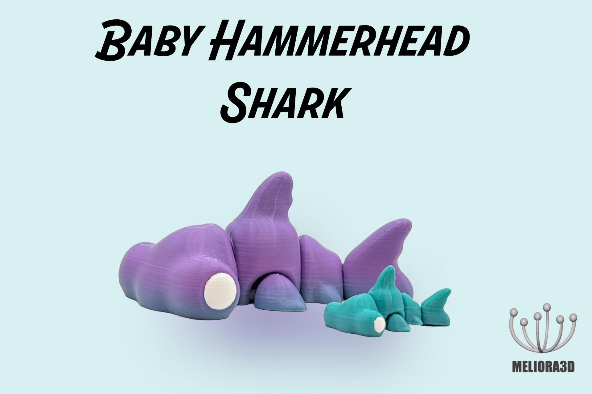 New Release - Baby Hammerhead Shark