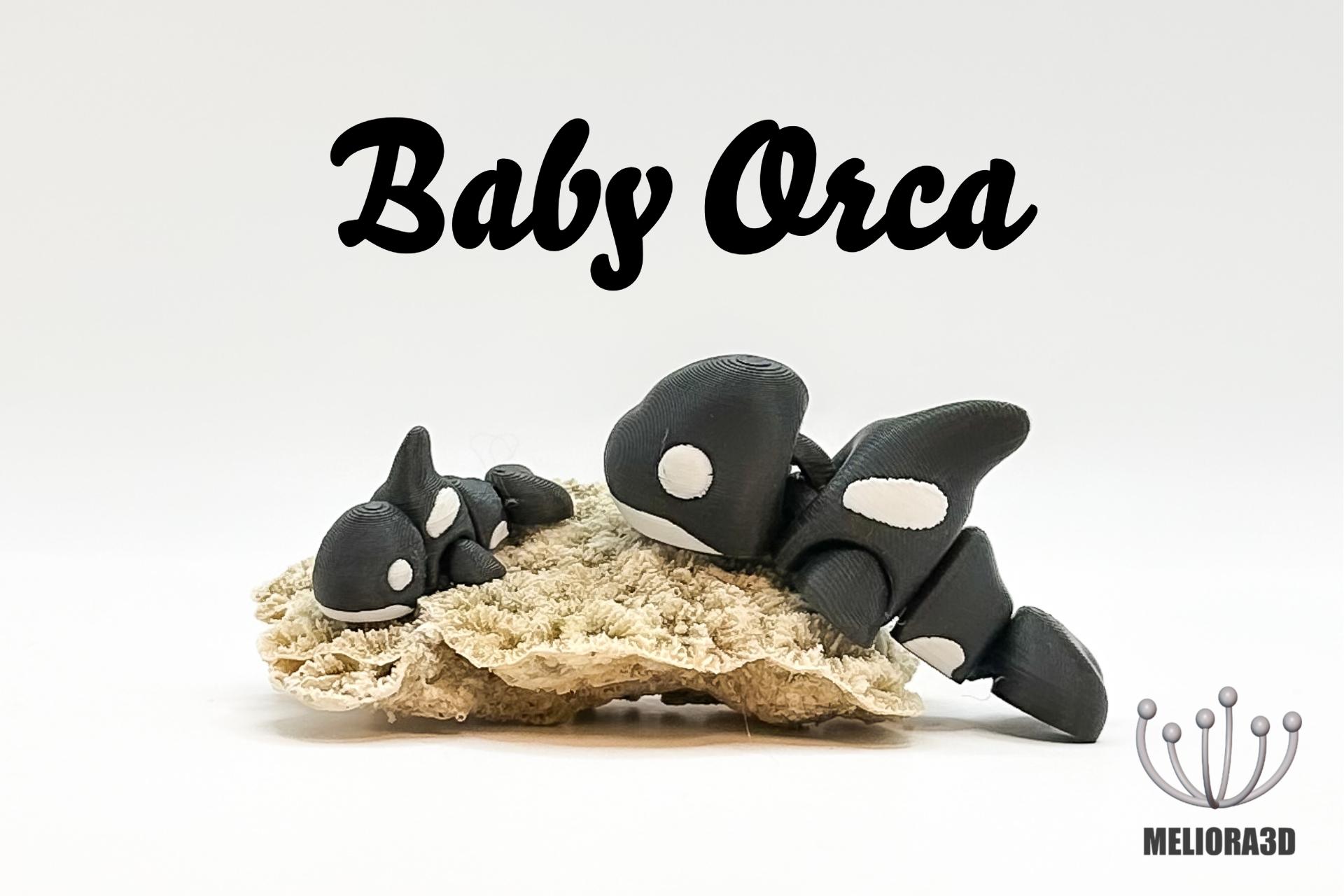 New Release - Baby Orca 