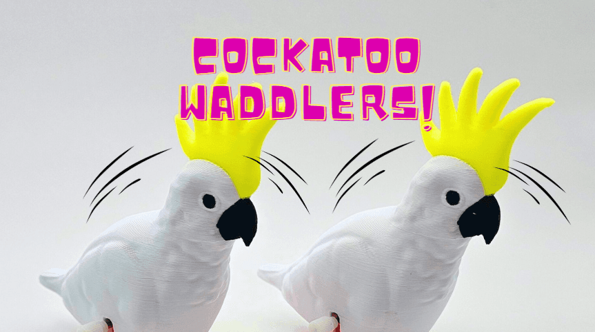 Cockatoo Waddlers now available!