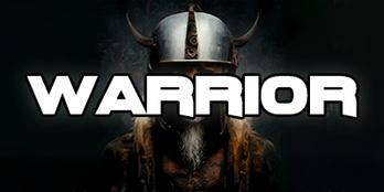 Viking Warrior