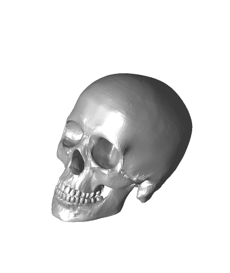 Skull Lamp 3d model