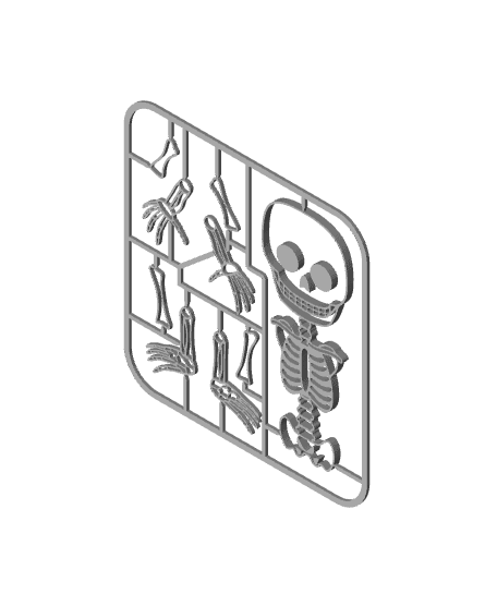 Articulated Skeleton Cardboard 3d model