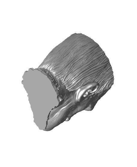 Frankenstein's Monster Bowl (Pre-Supported) 3d model