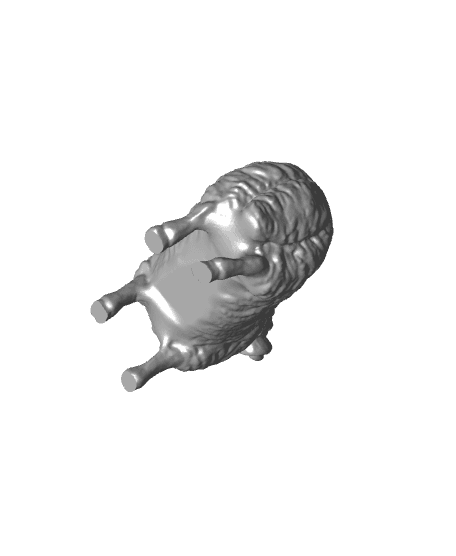 Sheep 3d model