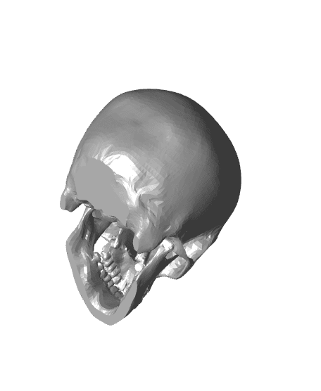 gothic skull with flower butterfly .stl 3d model