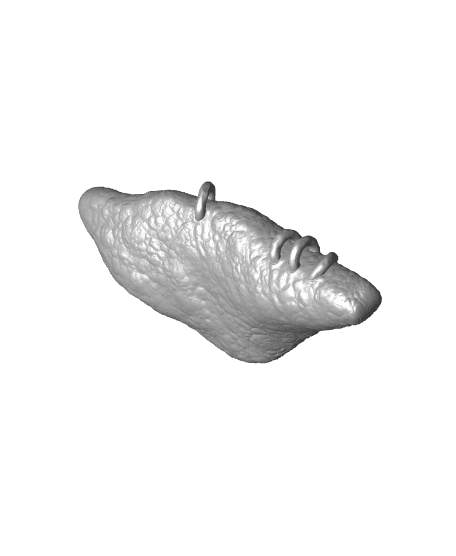 Goblin Ear 3d model