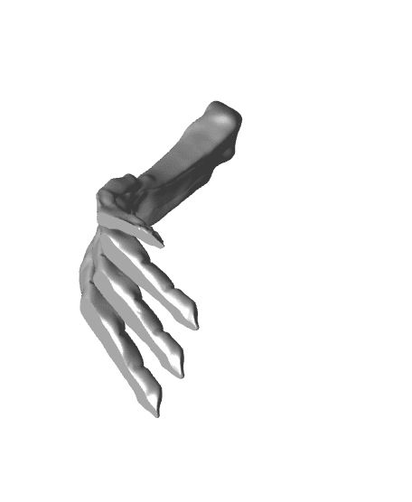 300mm Spinosaurus foot paper weight 3d model