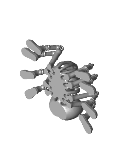 Flexi Skeleton Spider | Articulated Spider NO Support 3d model