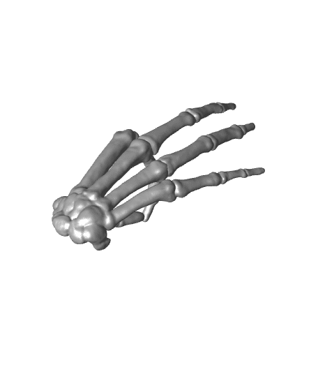 SKELETON HAND OK SIGN CIRCLE GAME 3d model