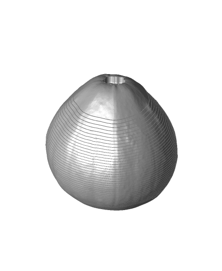 Squash Springo (2 sizes) 3d model