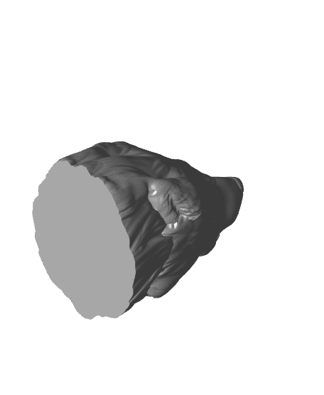 Wolf Head Decor and Wall Mount 3d model