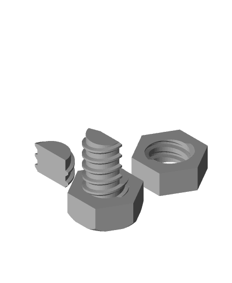 Unscrewable Screw 3d model