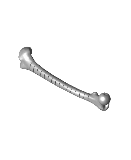 Fidget Femur 3d model