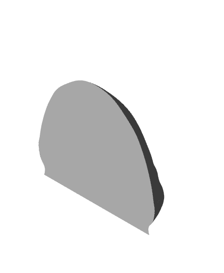 Shield of Answering 3d model