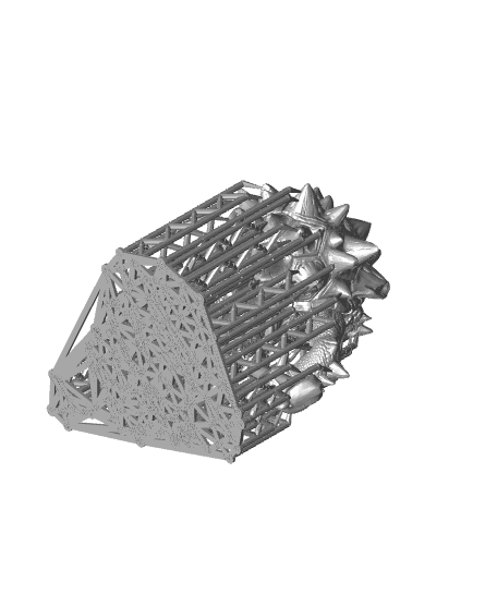 Tortun Rough Shells  3d model