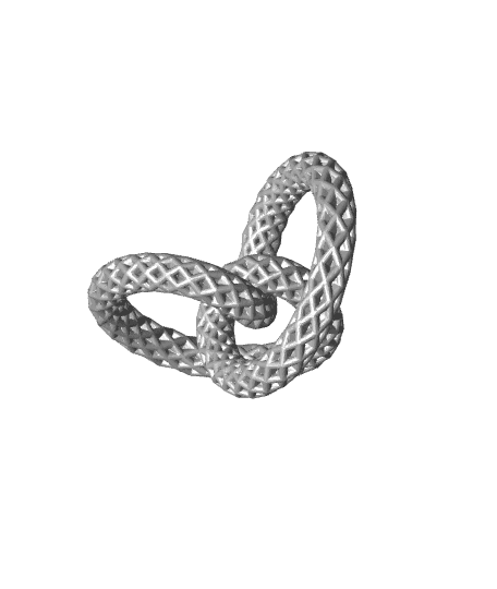 Morton’s Rolling Knot 3d model