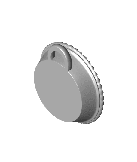 Pie Keyring 3d model