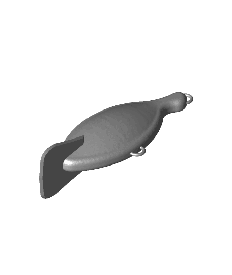 Fishing Lure Concept Angler Design Tackle 3d model