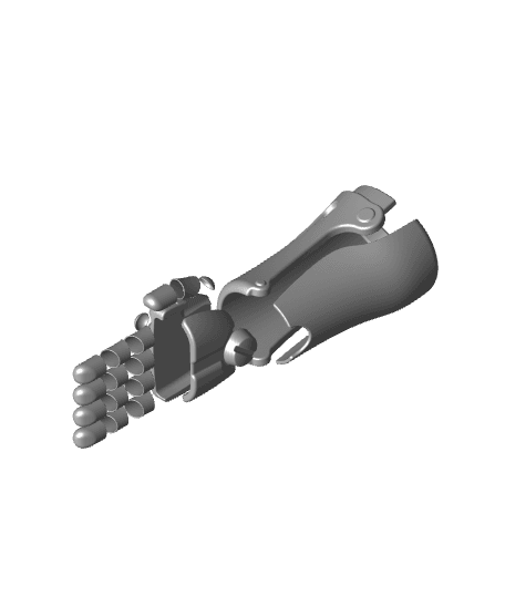 Fullmetal Alchemist Edward Arm Cover 3d model