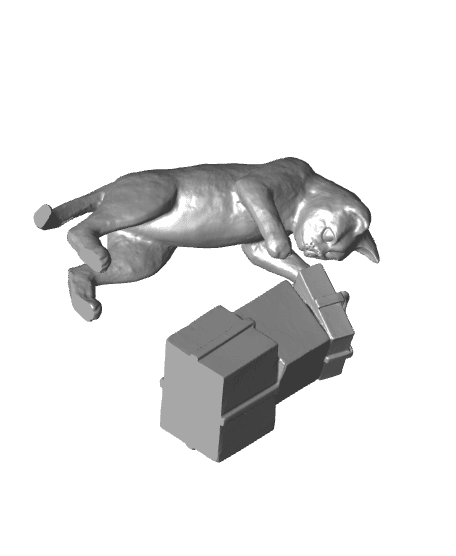 Christmas gift Cat 3d model