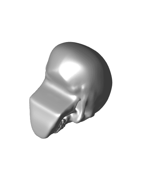 Basic Skull 3d model