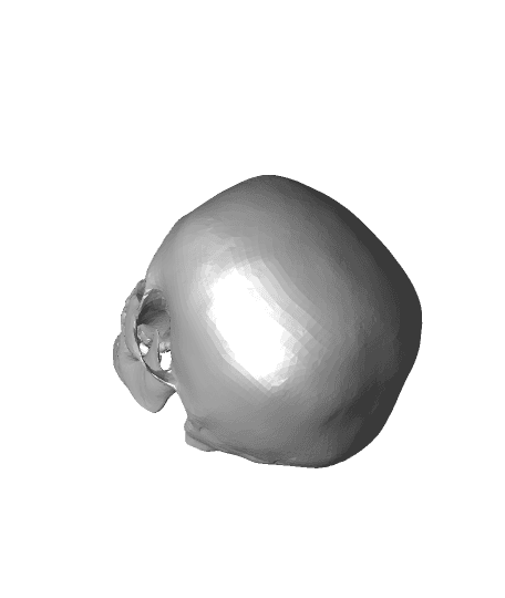 Scull_geant_fix02.stl 3d model