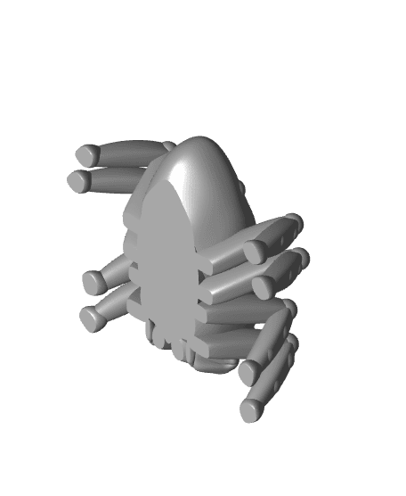 Jumping Spider Spot 3d model