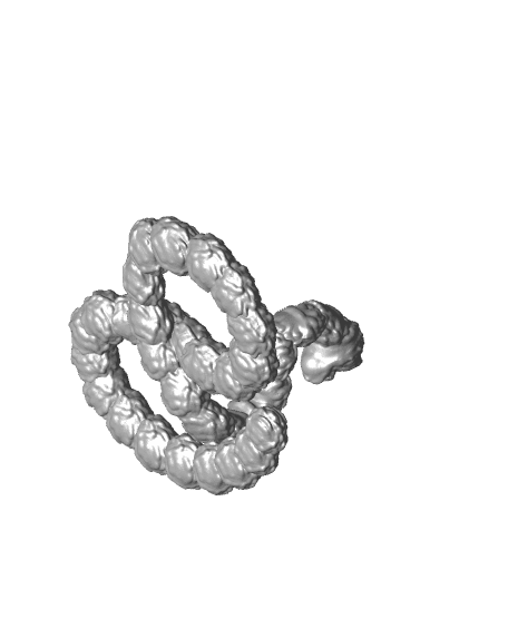 Tapeworm 3d model