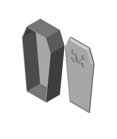 Coffin Case with Lid 3d model