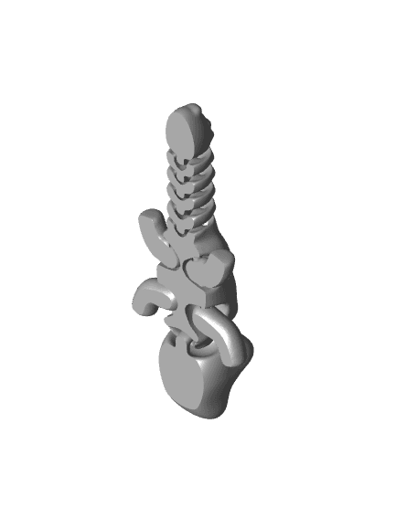 Cute Flexi Baby Croc 3d model