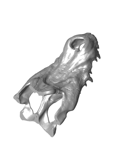 Kobold Skull - Monster Trophy 3d model