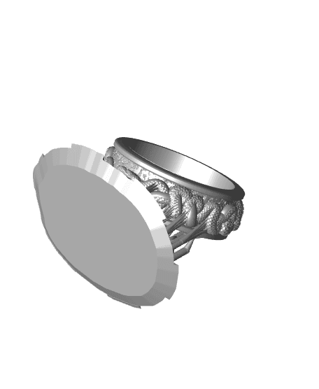 Ring of Infinity 3d model