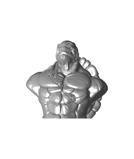 TMNT bust (fan art) 3d model